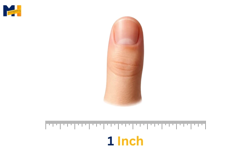 How long is 1 inch