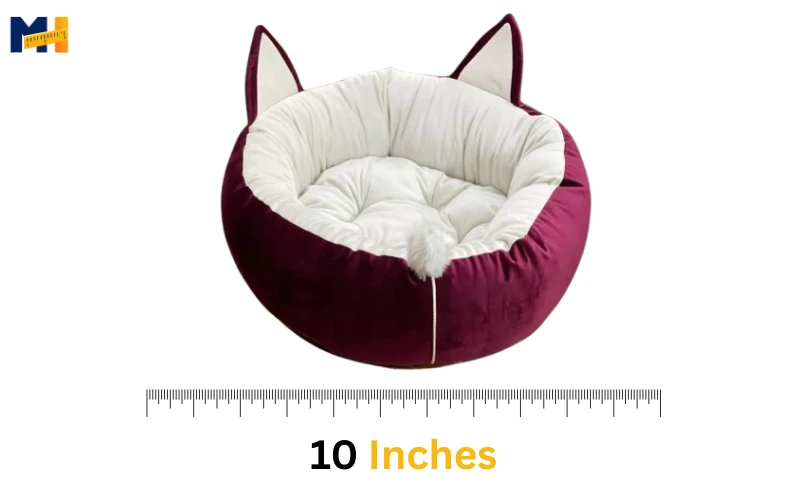 How long is 10 inches