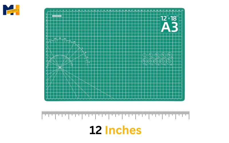 How long is 12 inches