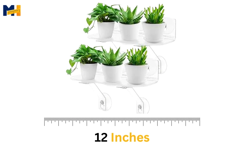 How long is 12 inches