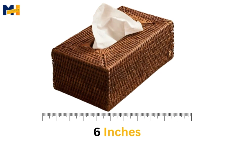 How long Is 6 inches