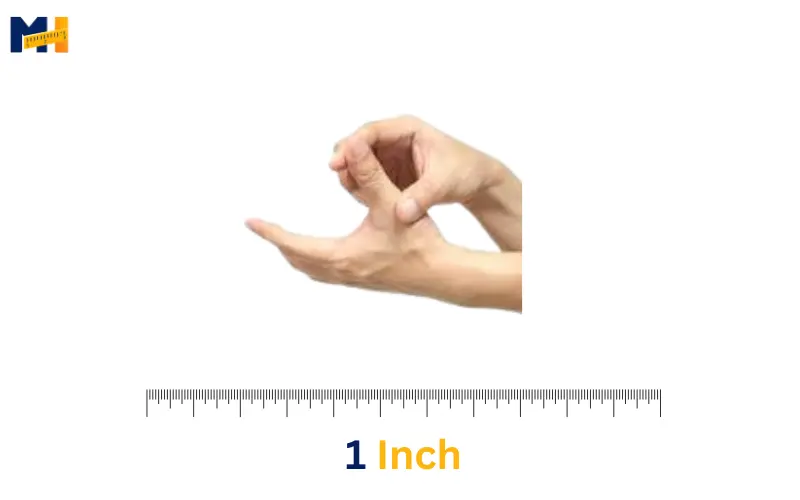 How long is 1 inch