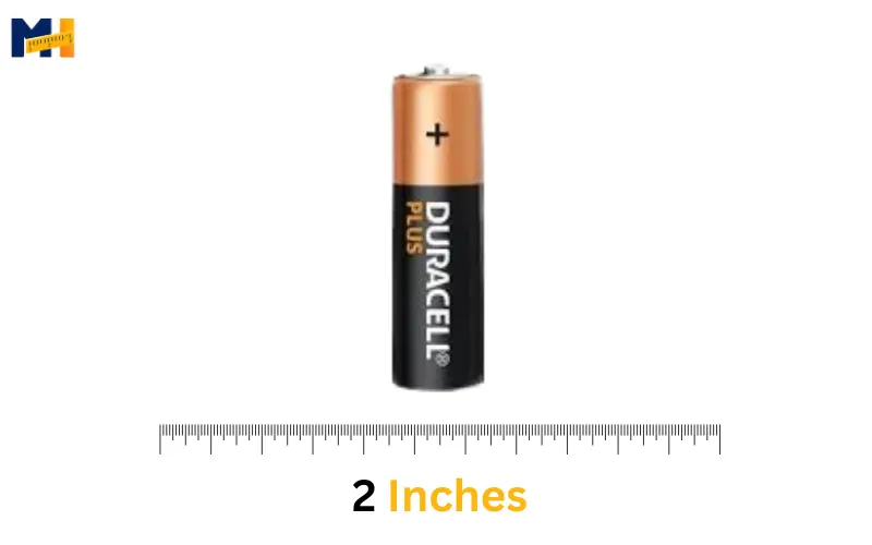 How long is 2 Inches