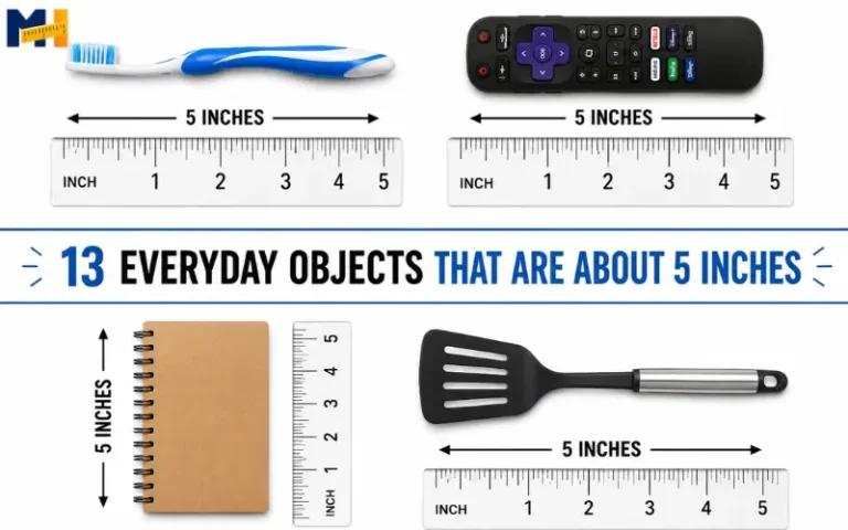 How long is 5 inches