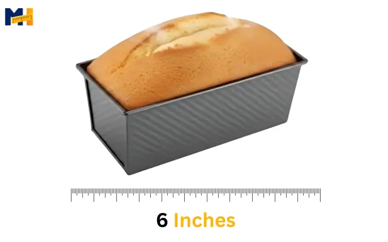 How long is 6 inches