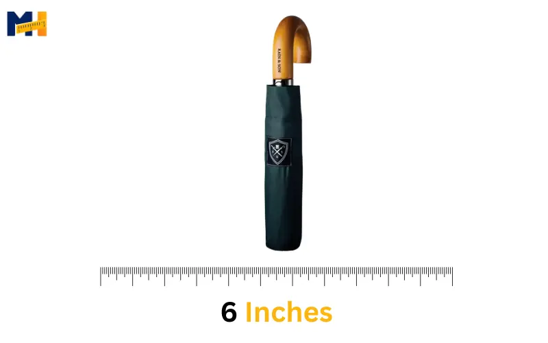 How long Is 6 inches