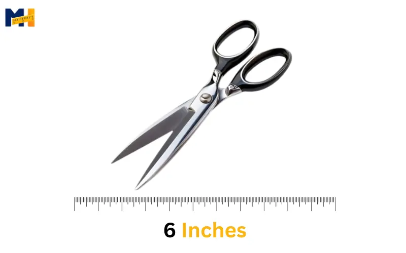 How long is 6 inches