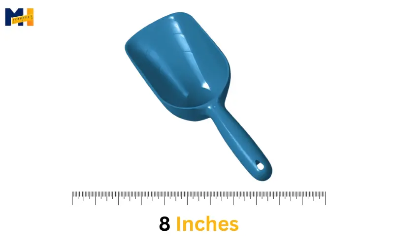How long is 8 inches