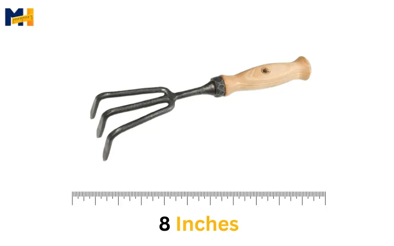 How long is 8 inches