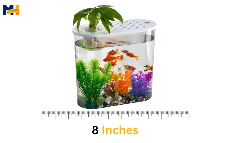 How long is 8 inches