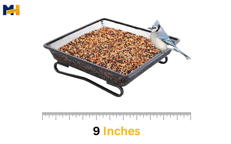 How long is 9 inches